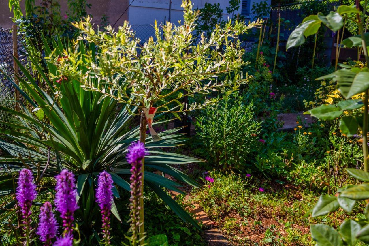 Little Garden House Vila Rijeka Exterior foto